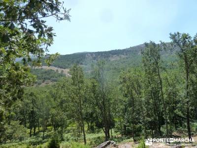 Navaluenga;Valle Alberche; puente de la inmaculada; viajes pirineos arribes del duero